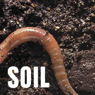 Album cover art for Soil Ep