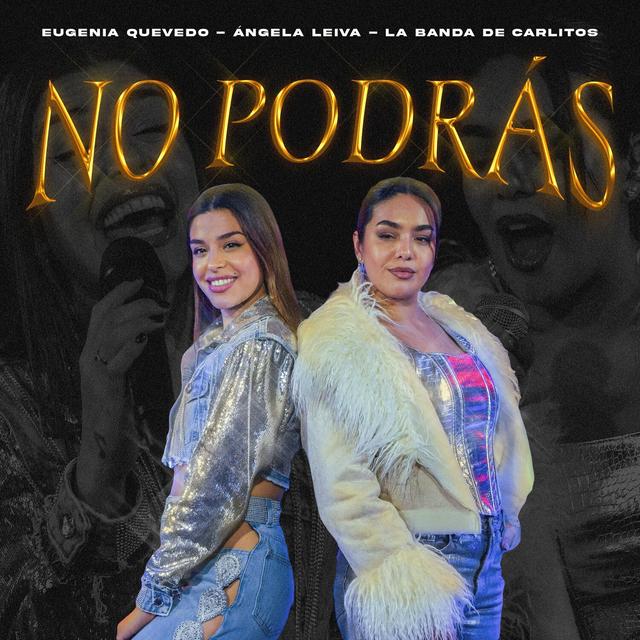 Album cover art for No Podrás