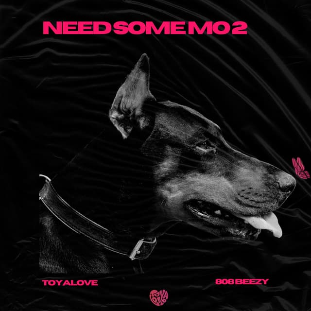 Album cover art for Need Some Mo 2