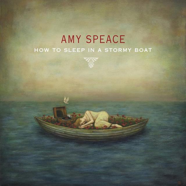 Album cover art for How to Sleep in a Stormy Boat
