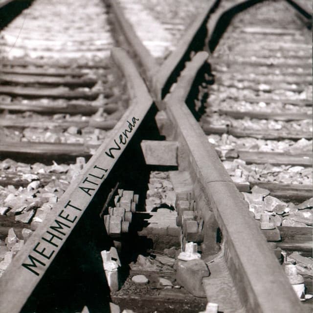 Album cover art for Wenda