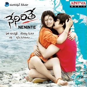 Album cover art for Neninthe