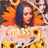 Girassol