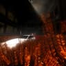 Carbon (feat. Amnezzia)