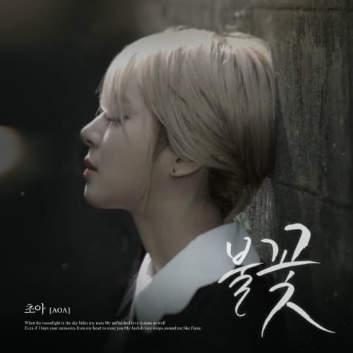 Album cover art for 불꽃