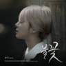 불꽃 (bul kkot)