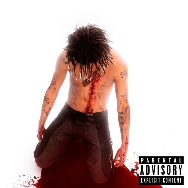 Album cover art for Quer Voar