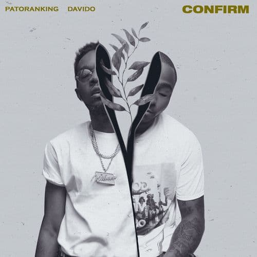 Album cover art for Confirm