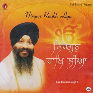 Album cover art for Nirgun Raakh Liya