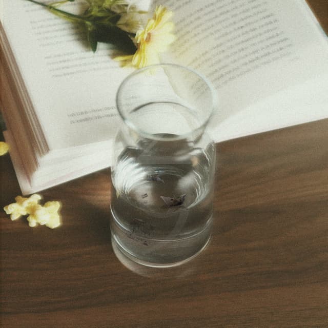 Album cover art for 29's Diary