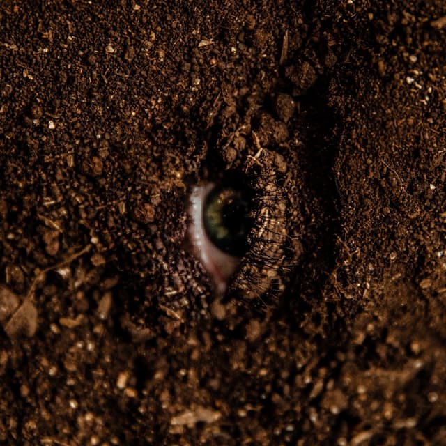Album cover art for Caroço
