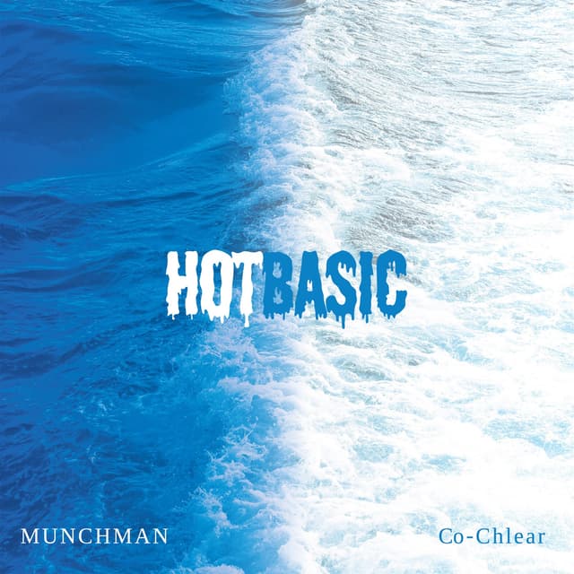 Album cover art for Hot Basic