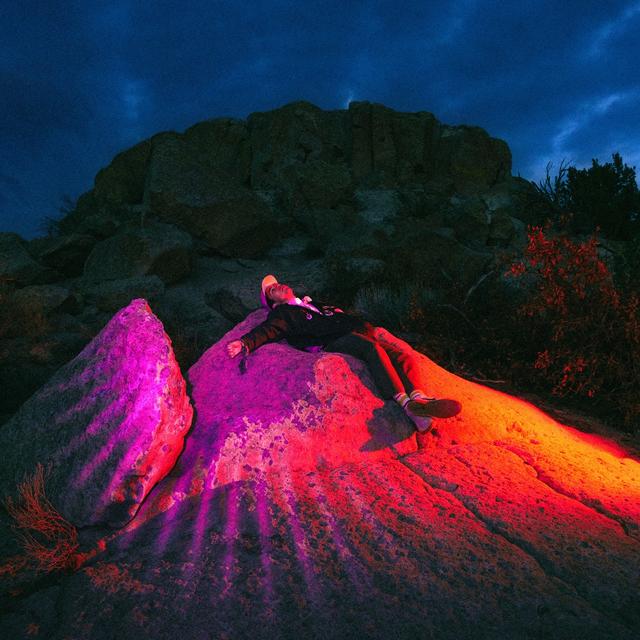 Album cover art for Pleasure