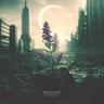 Fallout