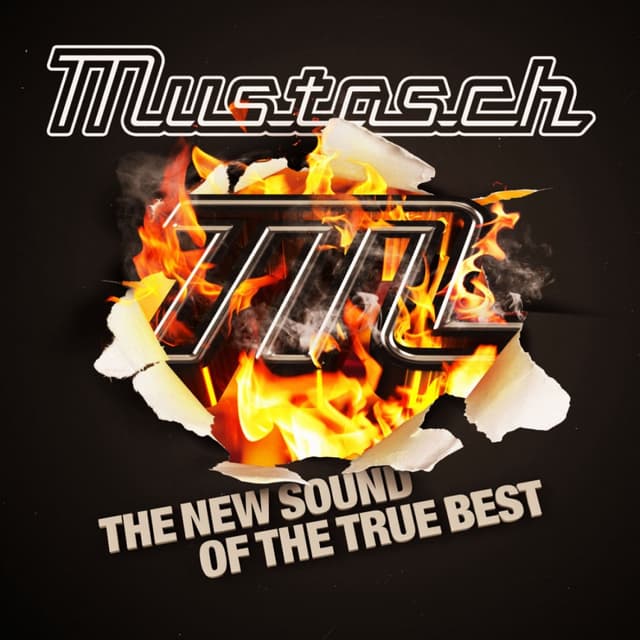 Album cover art for The New Sound Of The True Best