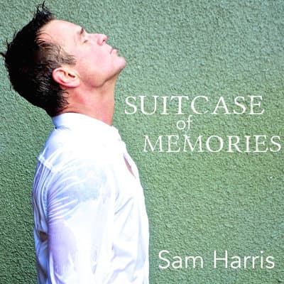 Album cover art for Suitcase of Memories