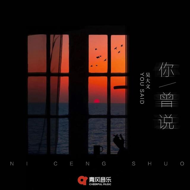 Album cover art for 你曾说