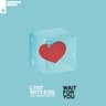 Wait for You [Kevin & F Instrumental]