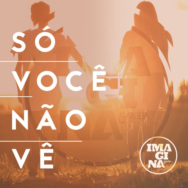Album cover art for Só você não vê