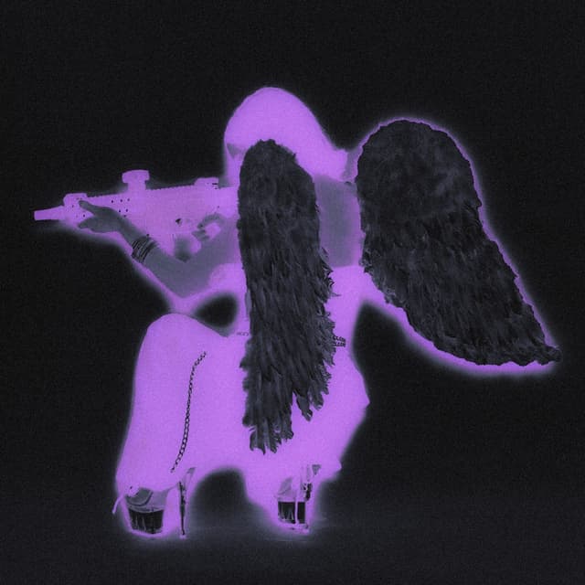 Album cover art for DIVA