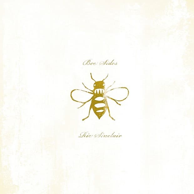 Album cover art for Bee Sides