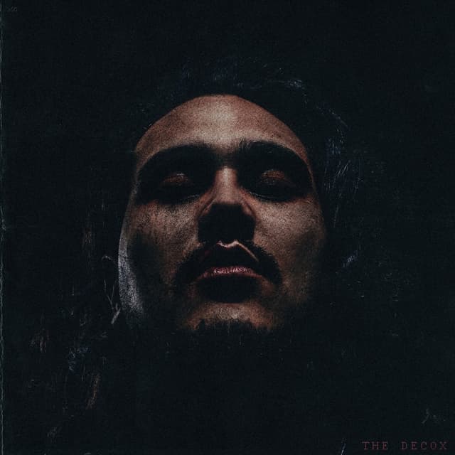Album cover art for The Decox