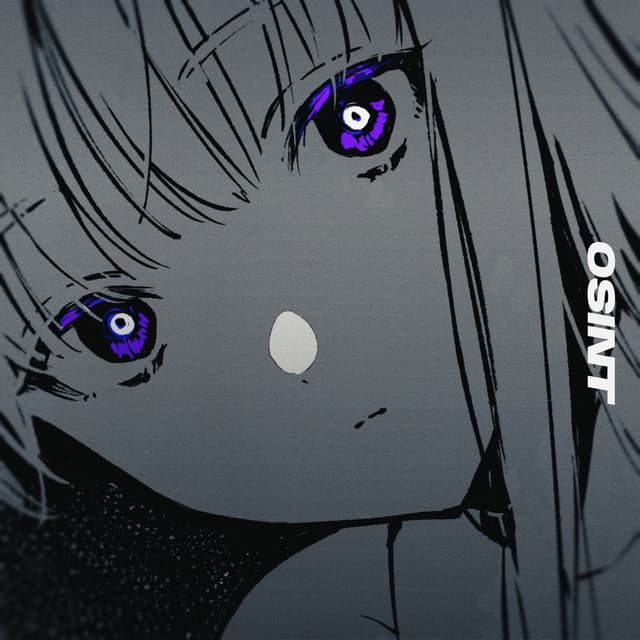 Album cover art for OSINT