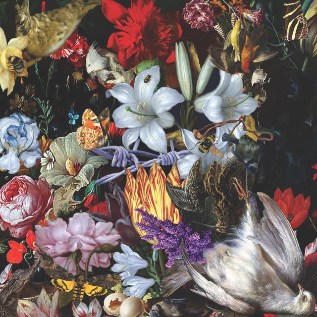 Album cover art for Perish the Thought