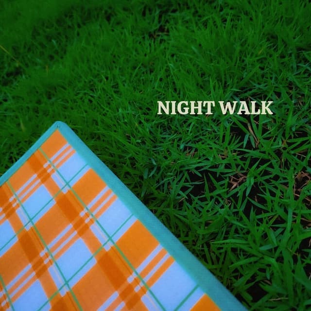 Album cover art for 밤산책