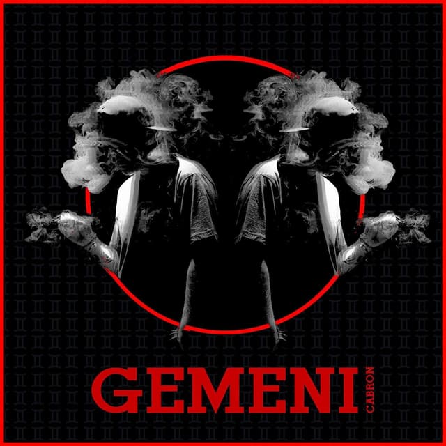 Album cover art for Gemeni
