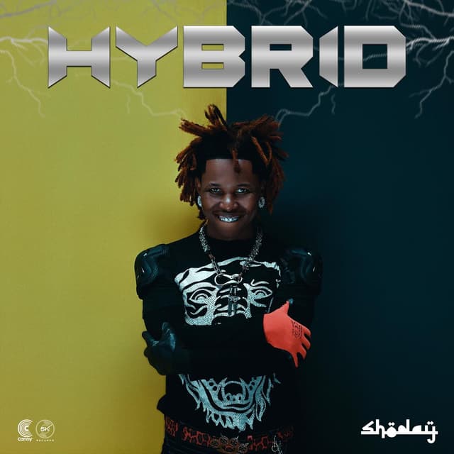 Album cover art for HYBRID
