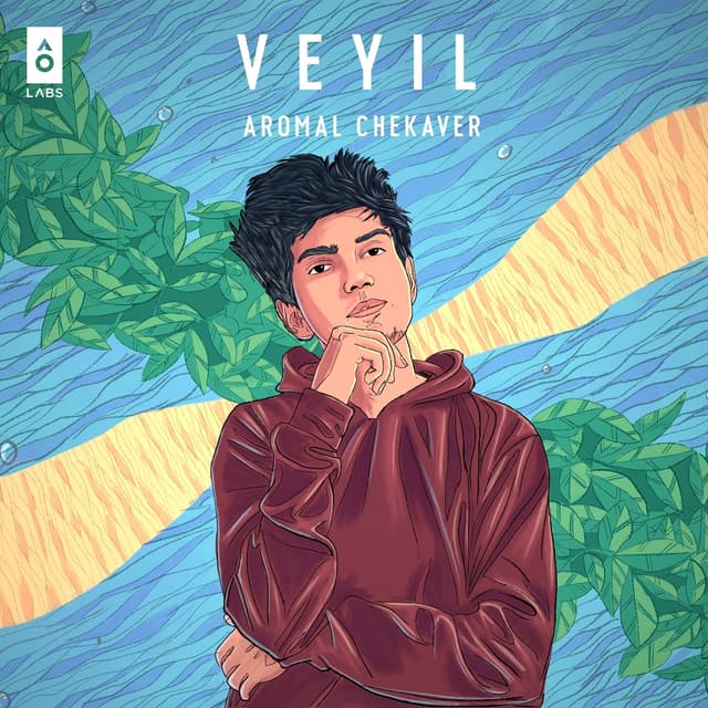 Album cover art for Veyil