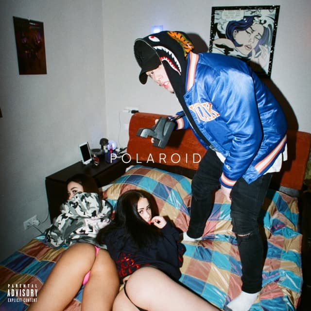 Album cover art for Polaroid