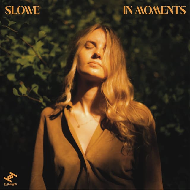 Album cover art for In Moments