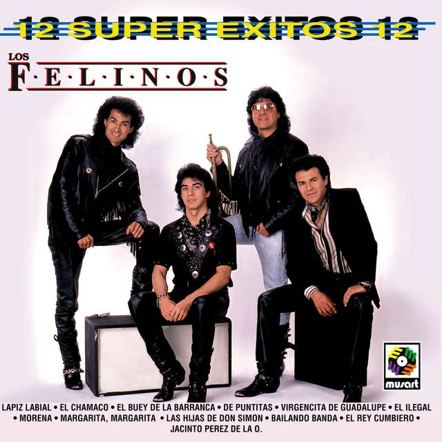 Album cover art for 12 Súper Éxitos, Vol. 2