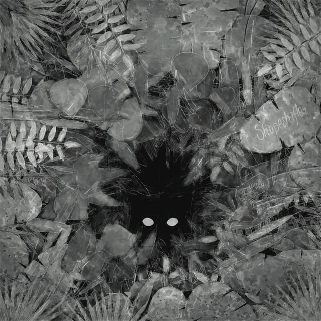 Album cover art for Shapeshifter