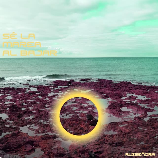 Album cover art for Sé la marea al bajar