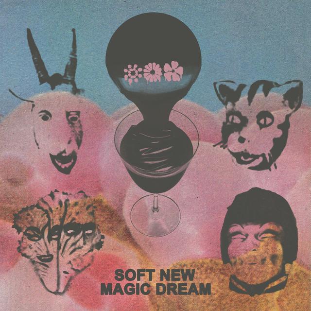 Album cover art for Soft New Magic Dream