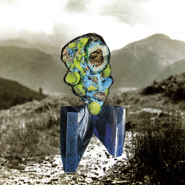 Album cover art for The Glass Trunk