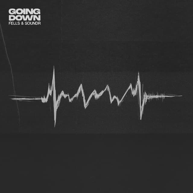 Album cover art for Going Down
