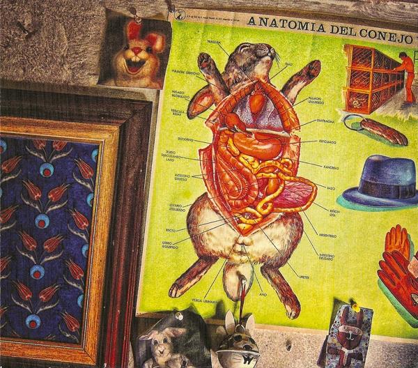 Postcards from Patmos