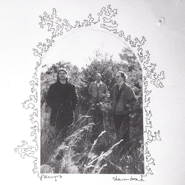 Album cover art for Shenandoah