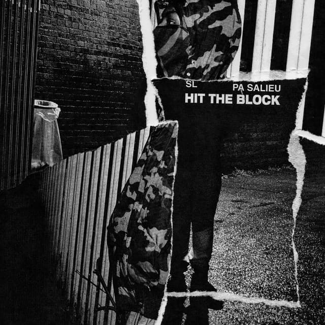 Album cover art for Hit the Block