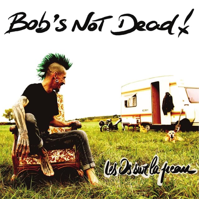 Album cover art for Les Os sur la Peau