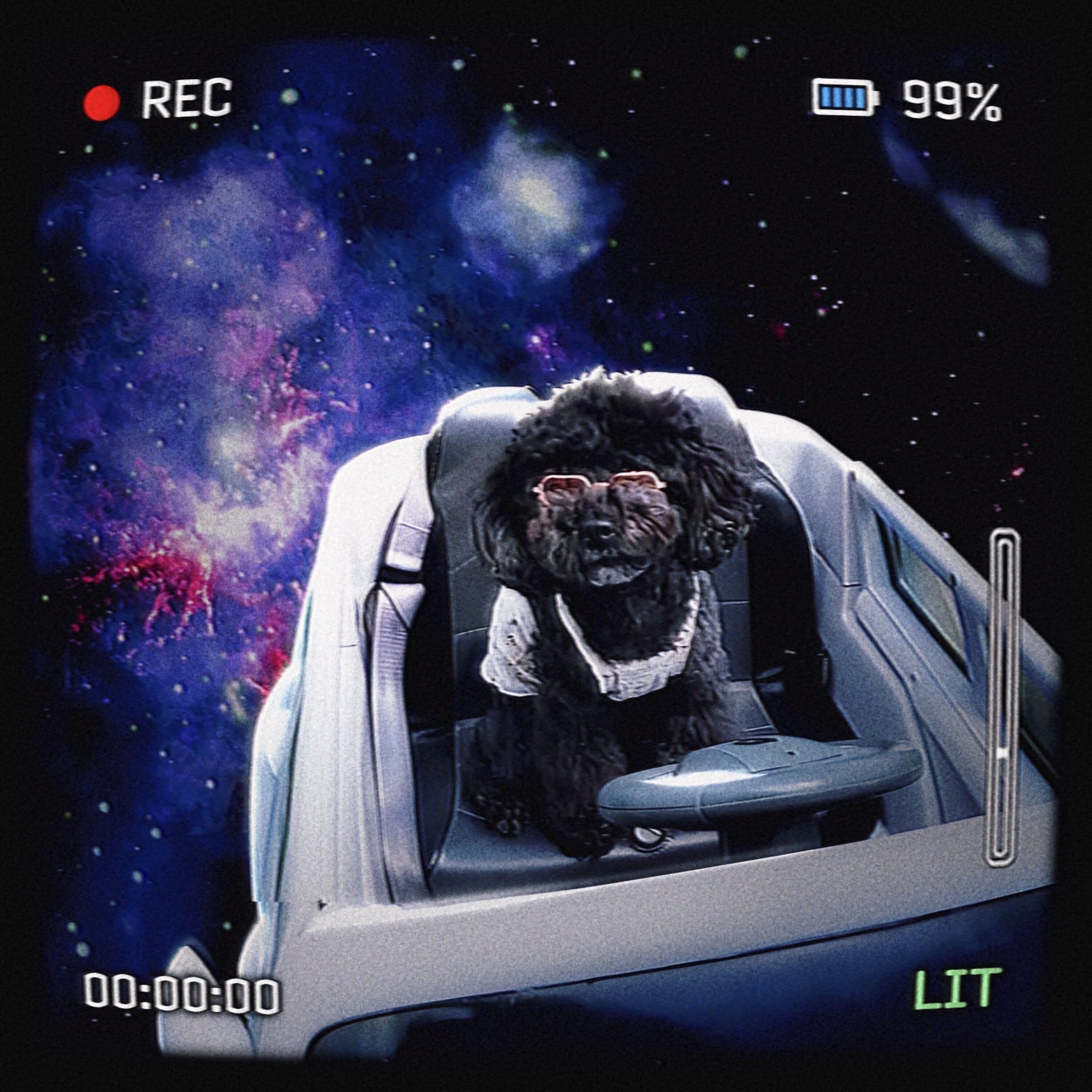 Lyric cover art