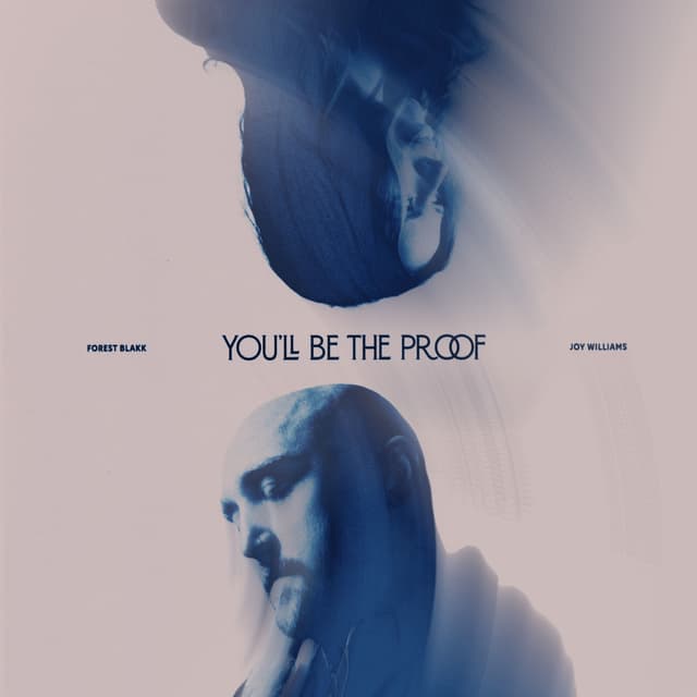 Album cover art for You’ll Be The Proof (feat. Joy Williams)