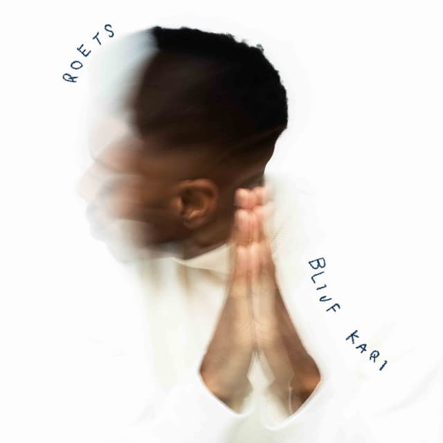 Album cover art for Blijf Kari