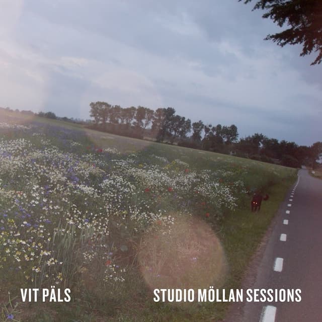 Album cover art for Studio Möllan Sessions