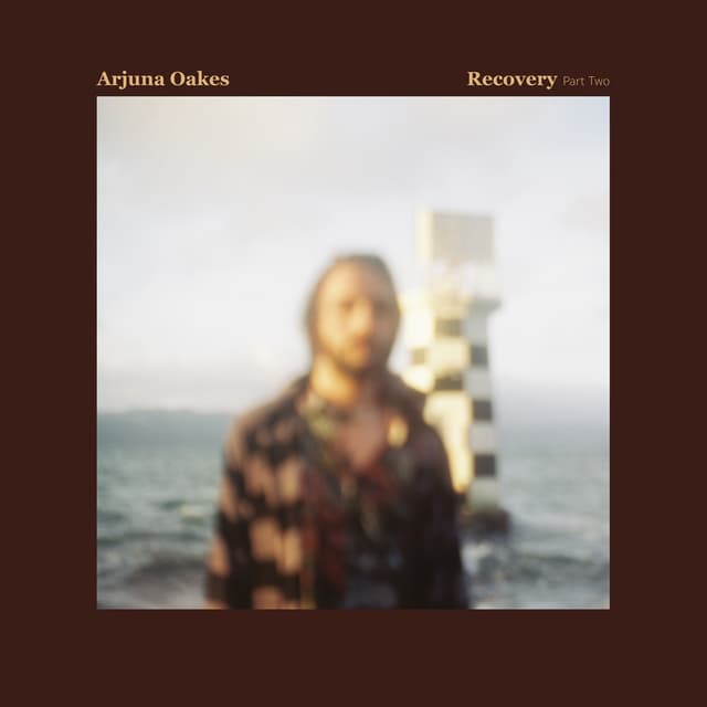 Album cover art for Recovery, Pt. 2