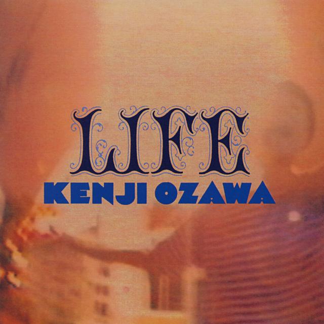 Album cover art for Life